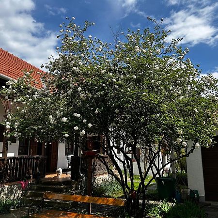 미슈콜츠 Magnolia Garden 아파트 외부 사진