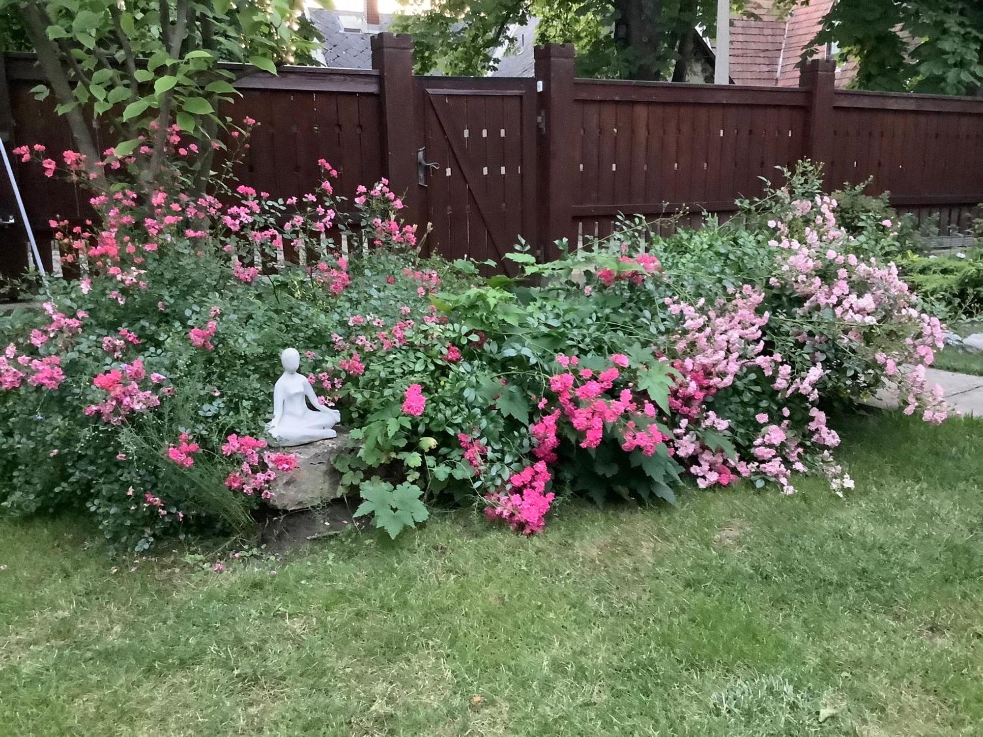미슈콜츠 Magnolia Garden 아파트 외부 사진