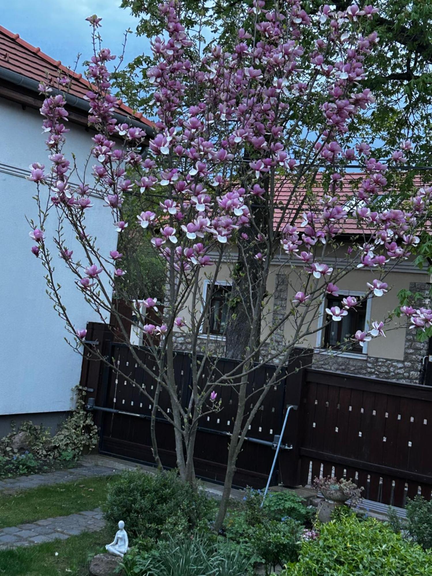 미슈콜츠 Magnolia Garden 아파트 외부 사진